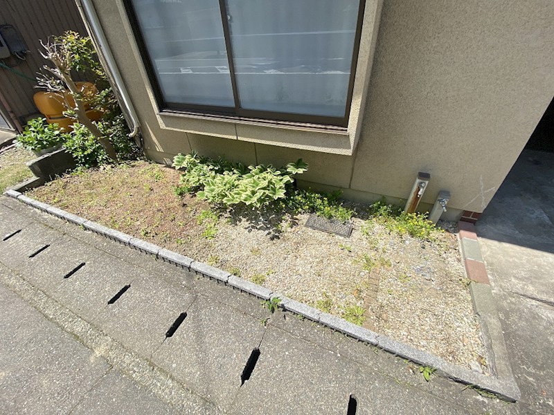 現地写真(庭)